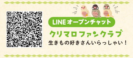 オープンチャット