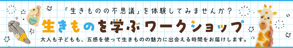 ワークショップ