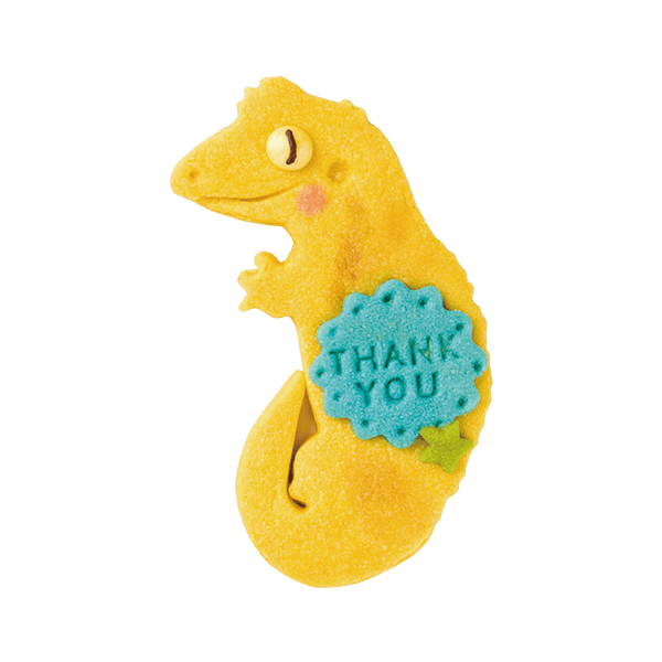 爬虫類クッキー・クレステッドゲッコー