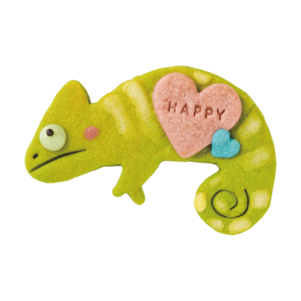 爬虫類クッキー・エボシカメレオン