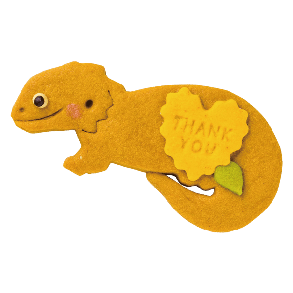 爬虫類クッキー・フトアゴヒゲトカゲ