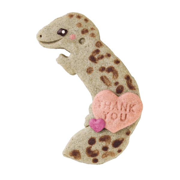 爬虫類クッキー・レオパードゲッコー