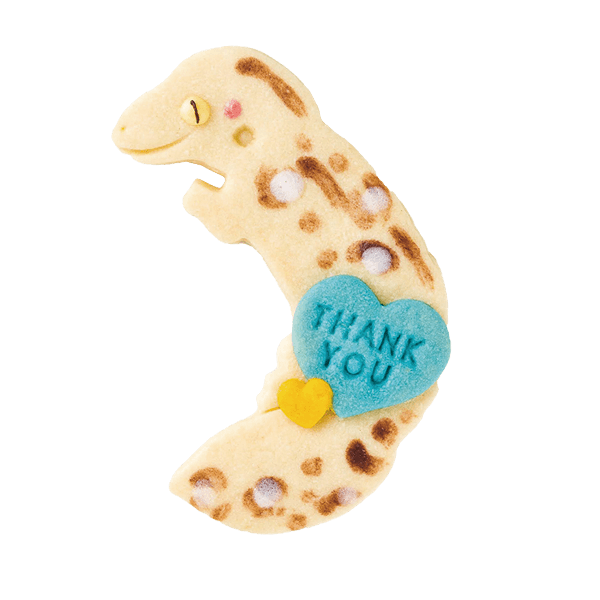 爬虫類クッキー・レオパードゲッコー