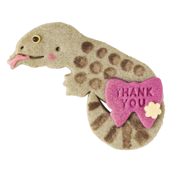 爬虫類クッキー・サバンナモニター