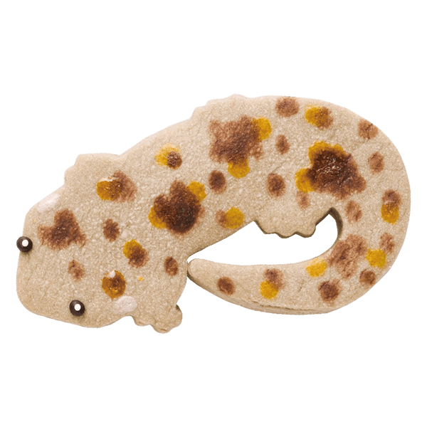 爬虫類クッキー・オオサンショウウオ