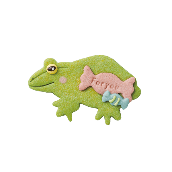 爬虫類クッキー・シュレーゲルアオガエル