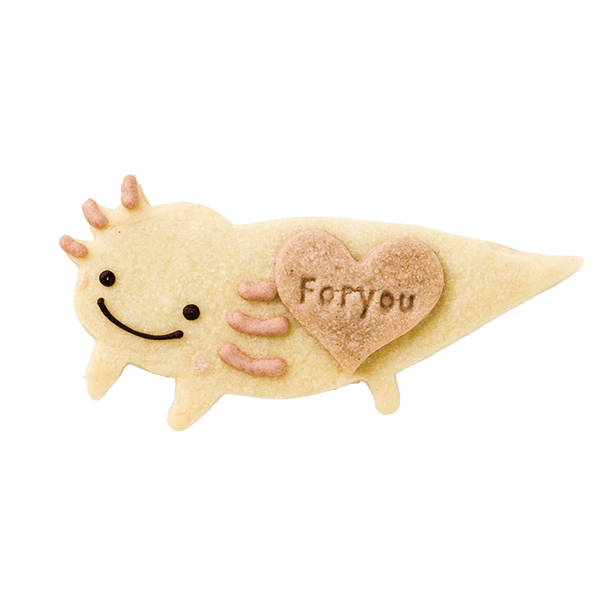 爬虫類クッキー・ウーパールーパー