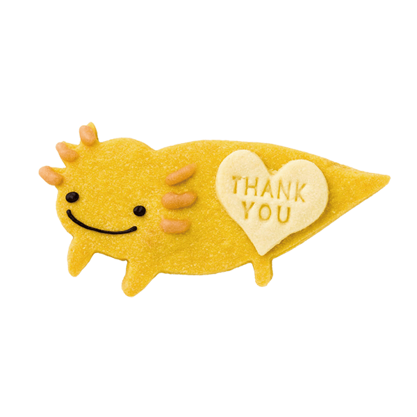 爬虫類クッキー・ウーパールーパー